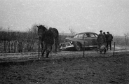 8454 Geerlingshof, 13-03-1947