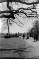 8897 Park Sonsbeek , 11-04-1947