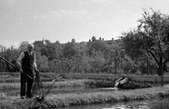 9367 Forellenkwekerij Sonsbeek, 18-06-1947