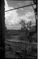 1197 Arnhem verwoest, 1945