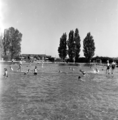 1417 Arnhem, Dullertstraat, 1950