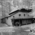 1756 Arnhem, Schelmseweg, 1953