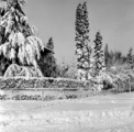 1908 Arnhem, Zijpendaalseweg, 1958