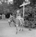 2257 Rhenen, Grebbeweg, 7-8-1952