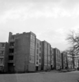 2291 Arnhem, Izaak Evertslaan, 1-2-1951