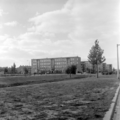 2919 Arnhem, 1959