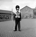 3036 Arnhem, Monnikensteeg, 15-7-1959