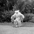 4776 Ouwehands Dierenpark, 1966