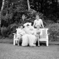 4777 Ouwehands Dierenpark, 1966