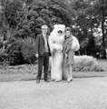 4788 Ouwehands Dierenpark, 1966