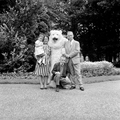 4799 Ouwehands Dierenpark, 1966