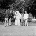 4807 Ouwehands Dierenpark, 1966
