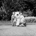 4808 Ouwehands Dierenpark, 1966