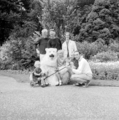 4810 Ouwehands Dierenpark, 1966