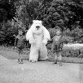 4813 Ouwehands Dierenpark, 1966