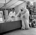 4818 Ouwehands Dierenpark, 1966