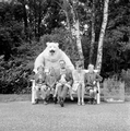 4819 Ouwehands Dierenpark, 1966