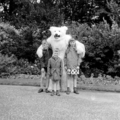 4828 Ouwehands Dierenpark, 1966