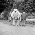 4845 Ouwehands Dierenpark, 1966