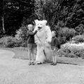 4912 Ouwehands Dierenpark, 1966