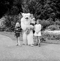 4913 Ouwehands Dierenpark, 1966