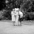 4917 Ouwehands Dierenpark, 1966