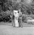 4925 Ouwehands Dierenpark, 1966