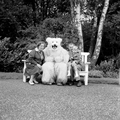 4933 Ouwehands Dierenpark, 1966