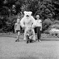 4938 Ouwehands Dierenpark, 1966