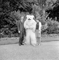 4948 Ouwehands Dierenpark, 1966
