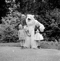 5003 Ouwehands Dierenpark, 1966