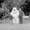 5011 Ouwehands Dierenpark, 1966