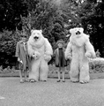 5013 Ouwehands Dierenpark, 1966