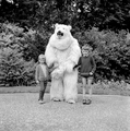 5015 Ouwehands Dierenpark, 1966