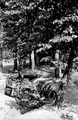 111 Bovenover, 1945