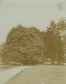 6412 Binnenweg, 1890 - 1920