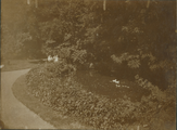 6498 Binnenweg Dalstein, 1900 - 1910