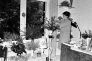 10635-0001 Velp. Mevrouw Spakkler's bloemen, 25-06-1981