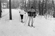 11772-0001 Ede. Langlaufen op de Ginkelse Heide, 20-12-1981