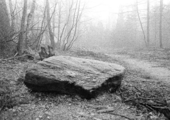 17174-0001 Kasteel Middachten. Grote steen, 23-02-1984