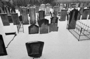 2532-0003 Wageningen. Joodse begraafplaats, 14-02-1978
