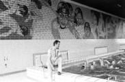 3244-0003 Zwembad De Koppel. Wandschildering, 31-05-1978