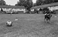 3310-0002 Wageningen. Spelende kinderen op een speelveld, 13-06-1978