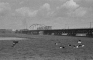 3746-0003 IJsselbrug bij Westervoort, 28-08-1978