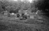 3918-0003 Kasteel Rosendael. Begraafplaats, 26-09-1978