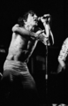 5588-0002 Stokvishal. Optreden Iggy Pop, 19-05-1979