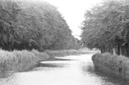 6017-0002 Het Apeldoorns-Dierenskanaal, 24-07-1979