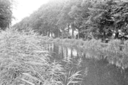 6017-0003 Het Apeldoorns-Dierenskanaal, 24-07-1979