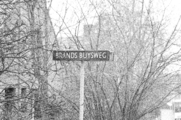 7649-0003 Straatnaambordje Brandts Buysweg, 19-03-1980