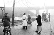 9654-0002 Westervoort. Demonstratie fietsbrug, 28-01-1981